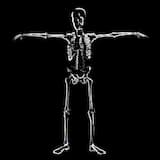 SKELETON DANCE