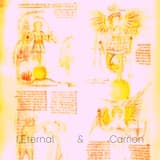 Portail vers linfini négatif