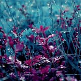 Films (instrumental version)