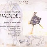 Sonate en sol mineur, HWV 404 : Andante