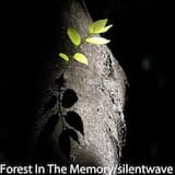 Forest in the memory