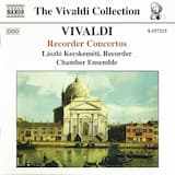 Concerto in G minor, RV 103: Allegro