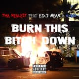 Burn This Bitch Down