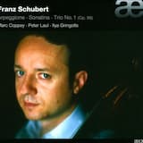 Trio no. 1 in B flat major, op. 99, D 898: II. Andante un poco mosso