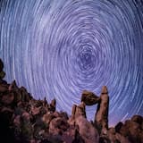 The dream of the sheepkeeper