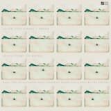 Birds Are Taught by the Snow