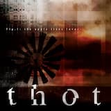 Solid Insecure Flower