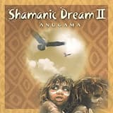 Shamanic Journey (Om Shanti)
