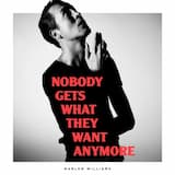 Nobody Gets What They Want Anymore (radio edit)