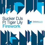 Firework (radio edit)