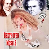 Beethoven Mosh 2