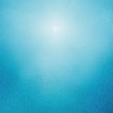 tongue‐tied & starry‐eyed