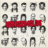 La Mauvaise Réputation