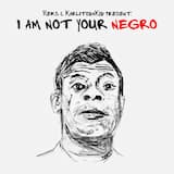 I AM NOT YOUR NEGRO