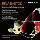 Divertimento for String Orchestra, BB 118, Sz. 113: I. Allegro non troppo