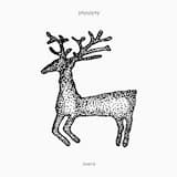 караван (2021)