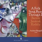 Improvisations on Hungarian Peasant Songs, op. 20, BB 83: VI. Allegro moderato, molto capriccioso