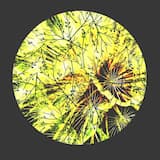 Because Of Me (Carlos Nilmmns Remix) (Remaster)