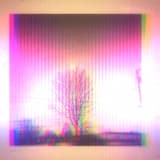 She Is Your Grandfather and Your Grandmother