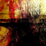 °°° पीला ⁂ यूफोरिया ᛫᛫᛫