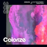 In the Storm (extended mix)