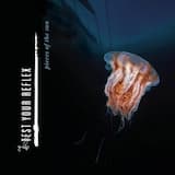 Pieces of the Sun (radio version)