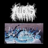 Jenkem Induced Psychotic Outburst