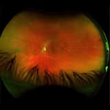 All Waves to Nothing