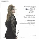 Concerto in G major for flute and orchestra, KV 313: II. Adagio ma non troppo