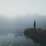 Beneath a Starlit Sky