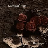 Seeds of Brain