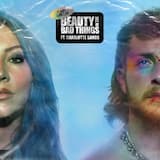 Beauty in The Bad Things