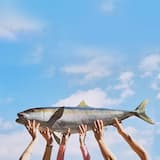 Watching the Credits