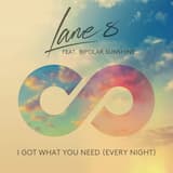 I Got What You Need (Every Night) (extended mix)