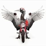 夏のわすれもの