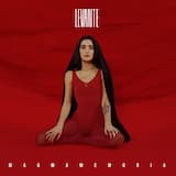 Lo stretto necessario