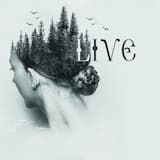 Utochka / Уточка