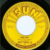 Tiger Man (King of the Jungle)