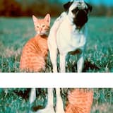 "I Was Bored Out of My Mind, and Dying to Try Something."