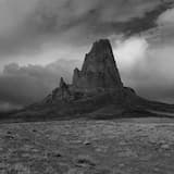 Won't Move From Here