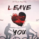 Leave You (Dimen5ions & DJ Alejandro Bachata Remix)