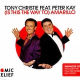 (Is This the Way to) Amarillo (single version)