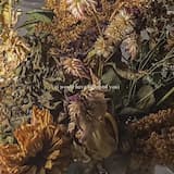 (i would have followed you)