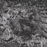 I will follow You through the black rain carrying my rusty cross, Lord