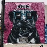 School of Hard Knocks