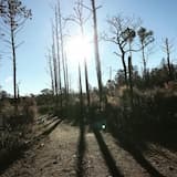 Hiking Prohibited Beyond This Point