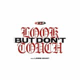 Look But Don't Touch