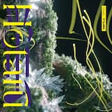 HOTARU (Over The Memories)