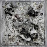 At Night in the Slaughterhouse