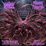 Affective Dysregulation